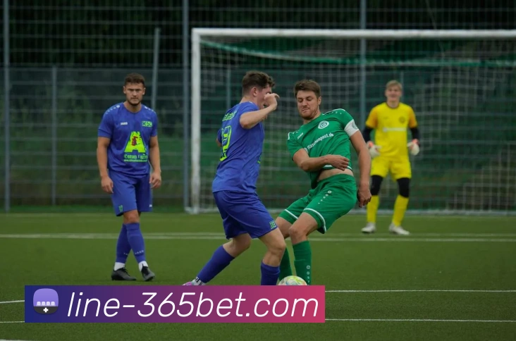 App Interface Preview